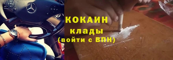 ПСИЛОЦИБИНОВЫЕ ГРИБЫ Арсеньев