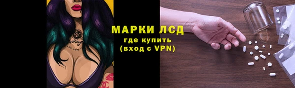 ПСИЛОЦИБИНОВЫЕ ГРИБЫ Арсеньев