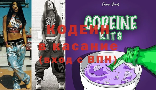 ПСИЛОЦИБИНОВЫЕ ГРИБЫ Арсеньев