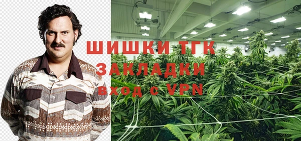 ПСИЛОЦИБИНОВЫЕ ГРИБЫ Арсеньев