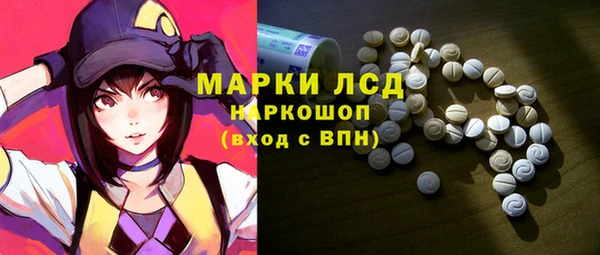 ПСИЛОЦИБИНОВЫЕ ГРИБЫ Арсеньев